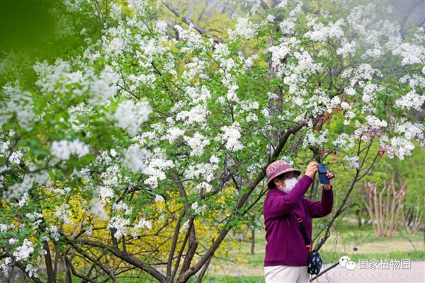 国家植物园正式揭牌：植物超3万种！附详尽游览攻略