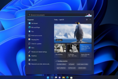 4月27日微软Win11全新搜索界面上手体验曝光 可查看插图、发现新闻等