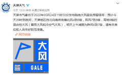 天津5月24日11时50分发布陆地大风蓝色预警信号 预计今天20时到夜间有阵风7到