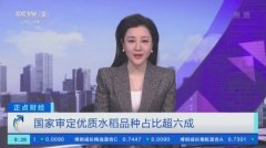 水稻国标2级以上占比超60% 我国优质稻育种水平迈上新台阶