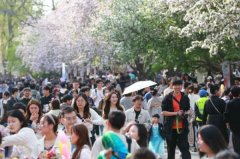 走进天津大学，8万人共赴海棠之约